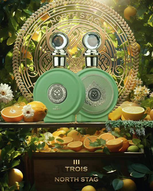 North Stag Expressions 111 Trois 100ml by Paris Corner